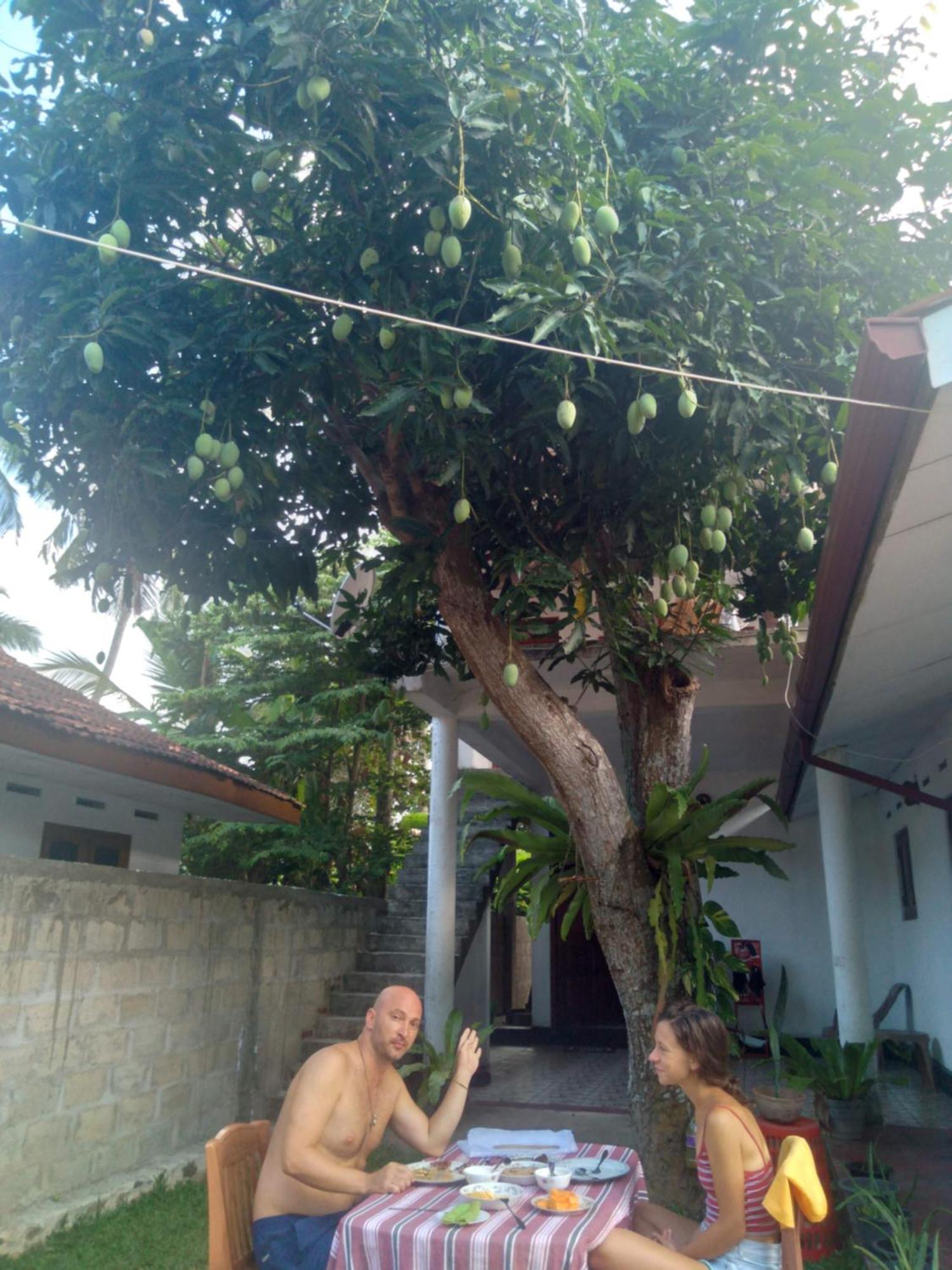 Sanithu Homestay And Villa Galle Extérieur photo